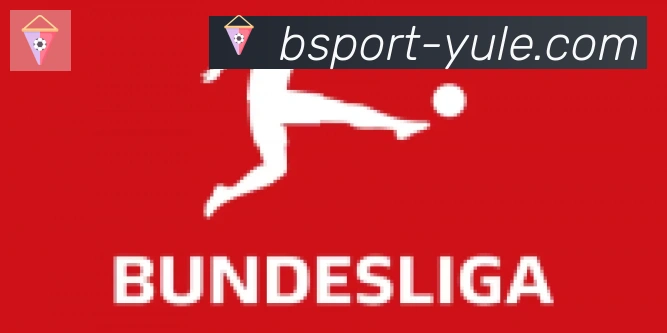 Bsports官网合作伙伴